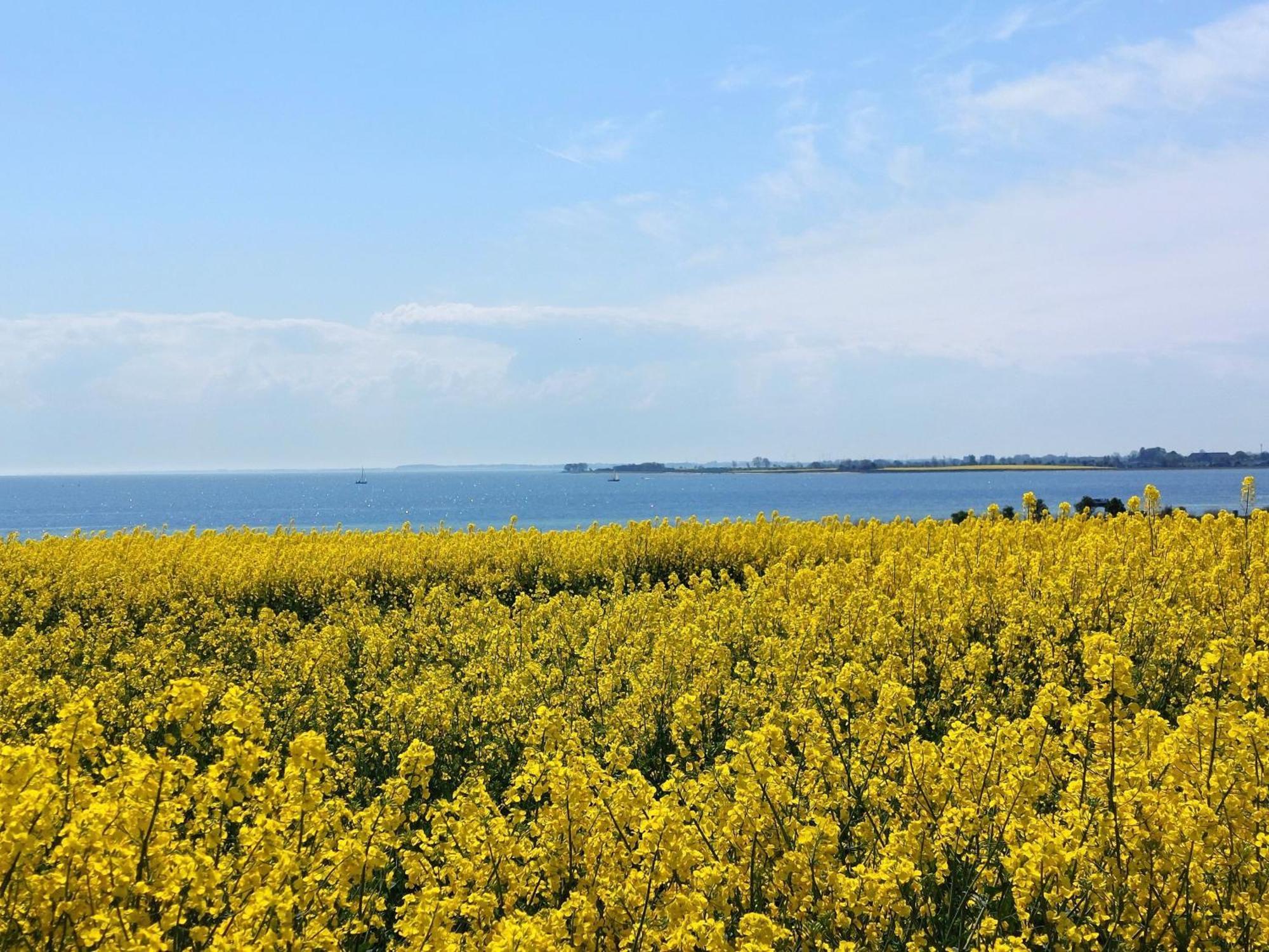 Apartmán Mina Fehmarn Exteriér fotografie